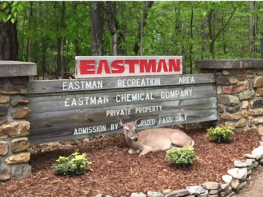 Eastman Cabins Recreation Area at Bays Mountain